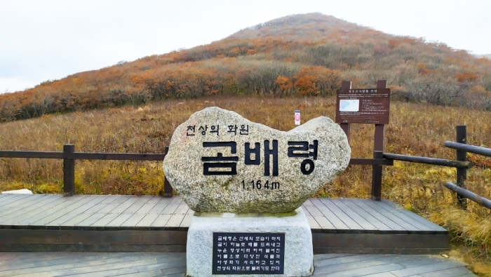 강원도여행 사진 4